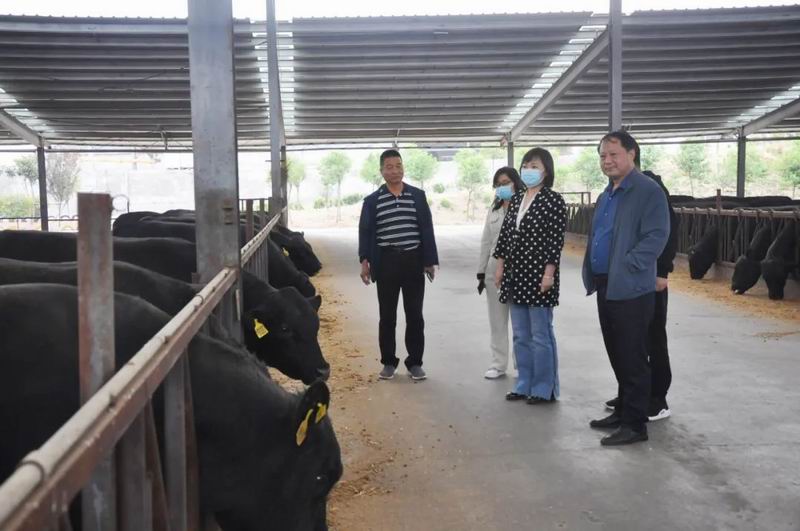 1657092302788418.jpg 640 (10).jpg