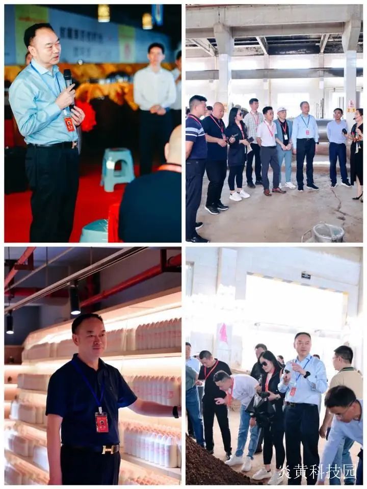 1691030860550846.jpg 640 (1).jpg